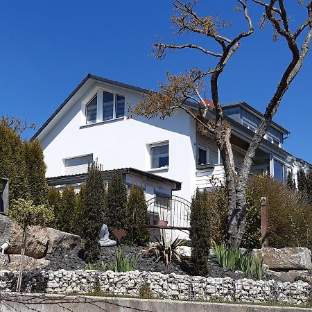 Staedtle-Blick Lägenhet Hayingen Exteriör bild