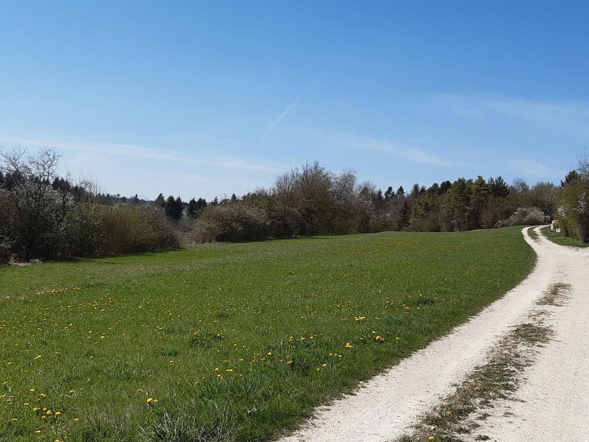 Staedtle-Blick Lägenhet Hayingen Exteriör bild